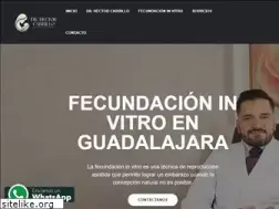 fecundacion.mx