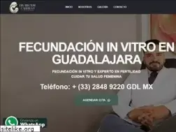 fecundacioninvitro.mx
