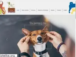 Sites similar to federacioncanofila.org