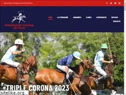Sites similar to federacionchilenadepolo.cl