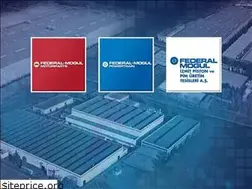 Sites similar to federalmogul.com.tr