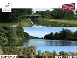 Sites similar to federationpeche77.fr