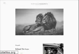 Sites similar to federicoveronesi.com