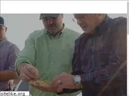 Sites similar to feedcattle.com