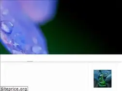 Sites similar to feel-bar.com