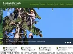 Sites similar to fehervarifavagas.hu