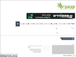 Sites similar to feiglin.co.il