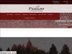 Sites similar to feigumfh.com