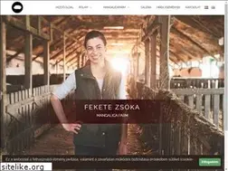 Sites similar to feketezsoka.hu