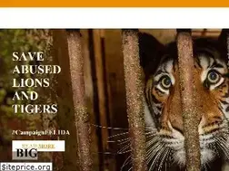 Sites similar to felidabigcats.org