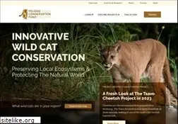 Sites similar to felidaefund.org