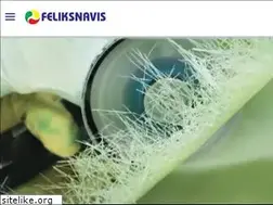 Sites similar to feliksnavis.lt