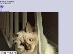 Sites similar to felineforever.com