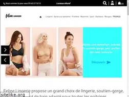 Sites similar to felinelingerie.fr