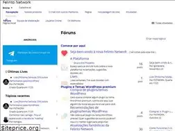 Sites similar to felintonetwork.com
