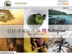 Sites similar to felis.in