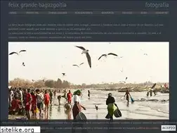Sites similar to felixgrandebagazgoitia.com