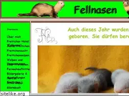 Sites similar to fellnasen-frettchen.de
