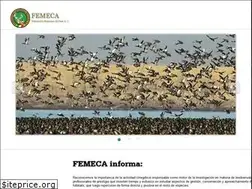 Sites similar to femeca.com