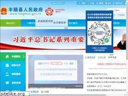 Sites similar to fengshun.gov.cn