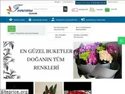 Sites similar to fenomencicek.com