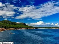 Sites similar to fensie.com