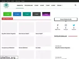 Sites similar to fensinif.com