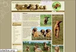 Sites similar to fenyesvarazs.nl