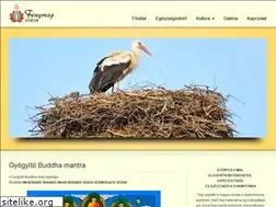 Sites similar to fenymag.hu