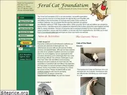 Sites similar to feralcatfoundation.org
