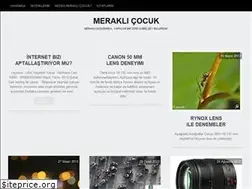 Sites similar to ferdidemircan.wordpress.com