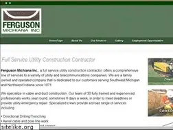 Sites similar to fergusonmichiana.com