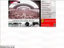 Sites similar to ferialdetorrelavega.com