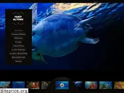 Sites similar to feritalturk.com