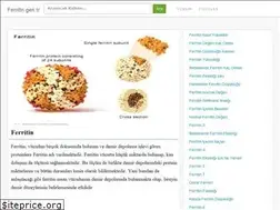 Sites similar to ferritin.gen.tr