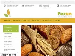 Sites similar to ferun.com.tr