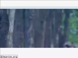 Sites similar to festpir.ru