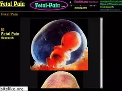 Sites similar to fetal-pain.com