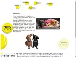 Sites similar to fetchdogcare.com