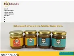 Sites similar to fethiyebalevi.com.tr