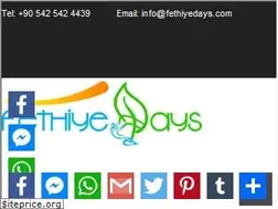 Sites similar to fethiyedays.com