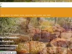 Sites similar to fethiyekoyurunleri.com