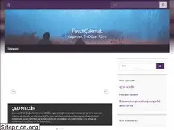 Sites similar to fevzicakmak.com