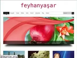 Sites similar to feyhanyasar.com