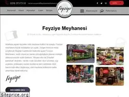 Sites similar to feyziye.com