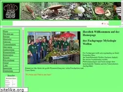 Sites similar to fg-myko-wolfen.de