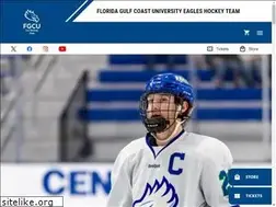 Sites similar to fgcuicehockey.com