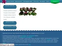 Sites similar to fialki-odessa.in.ua