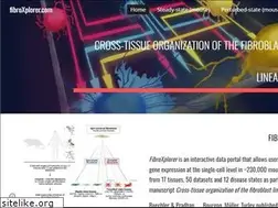 Sites similar to fibroxplorer.com