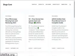 Sites similar to ficusbonsaitree.com